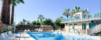 Piscina circondata da sedie a sdraio e palme sotto un cielo azzurro.