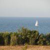 Una barca a vela solitaria naviga sul mare calmo, vista dalla costa.