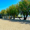 Campo da beach volley con rete, alberi e vista sul mare.