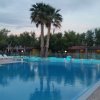 Piscina scoperta circondata da lettini e palme al tramonto.