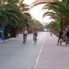 Viale alberato con palme, persone che pedalano su biciclette lungo strada e marciapiede.