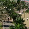 Un lungomare con palme e una spiaggia affollata sullo sfondo.