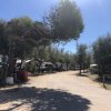 Una strada sterrata tra alberi, con tende e roulotte ai lati sotto un cielo sereno.